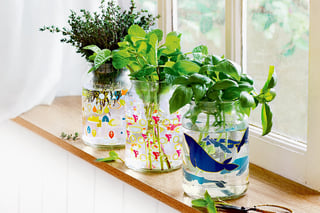 moccona jar inspiration herb watergarden teaser